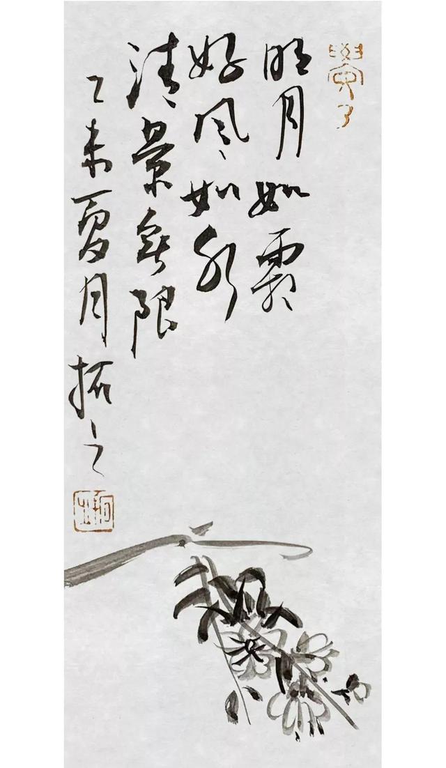 拓字的五行属性是什么（拓属于五行属什么）