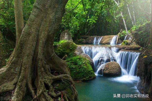 五行属性是什么字（五行属木有什么字）
