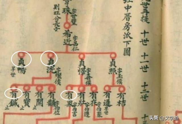 生僻字取名男孩有寓意？生僻字取名男孩虎！