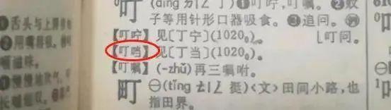 明明用了几十年的汉字，你和我说其实根本不存在？