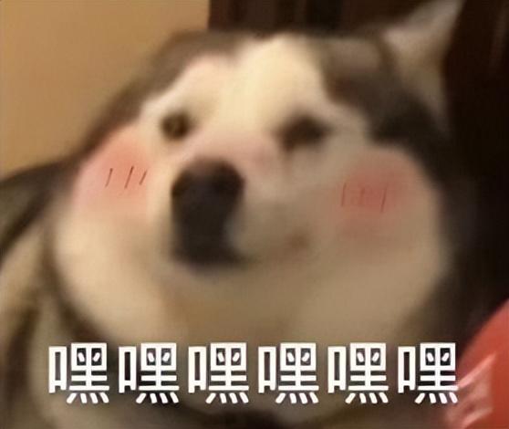 燕字取名的寓意？燕字取名的寓意是什么！