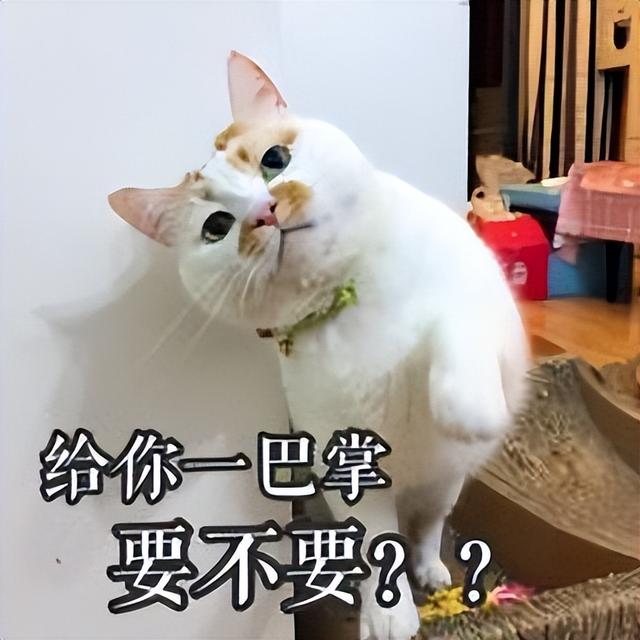 起名禁忌的字？起名忌用字有哪些！