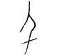千字五行属什么（科字五行属什么）
