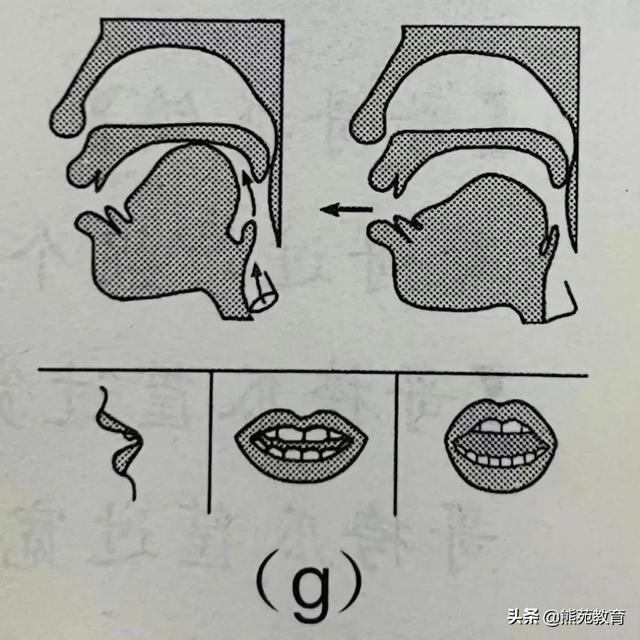 拼音j的正确书写格式图片（拼音j的正确书写格式视频）
