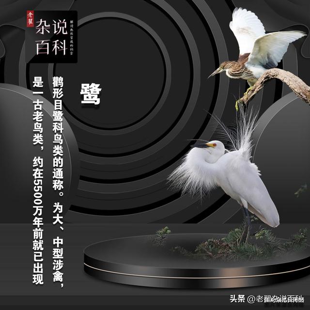 三藏起名网,三藏起名网免费取名测名？
