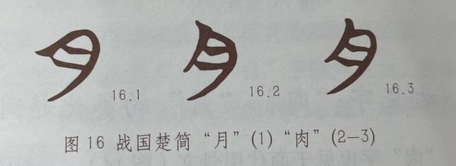 肉字？肉字旁的字！