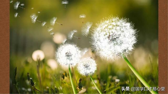 《易经》随卦：一个“随”字，教你如何与人相处