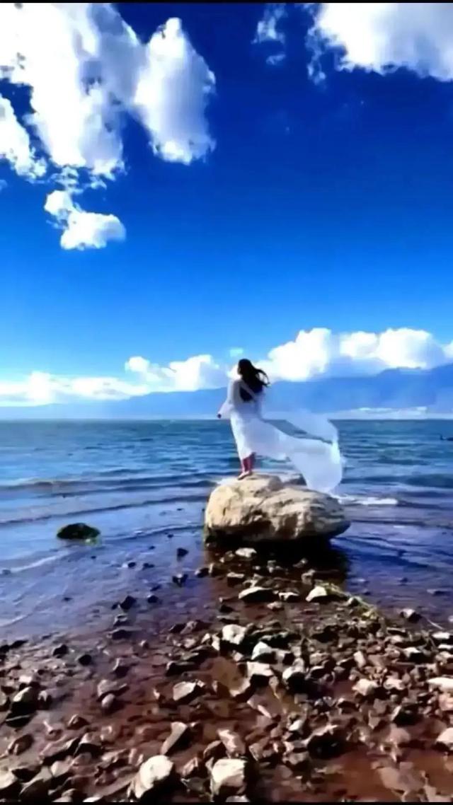 柳字五行属什么的吉凶（柳字的五行属性）