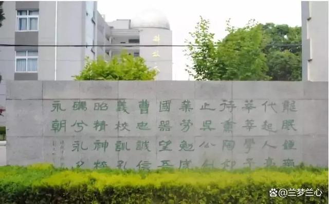 连字的五行属性是什么？连的五行是什么！