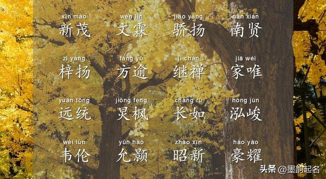 如何起一个一生受益的名字，来点赞你的姓氏