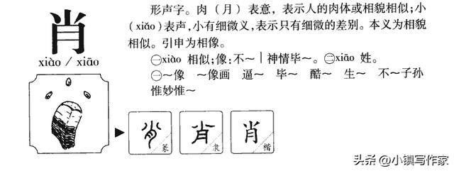 惟妙惟肖的意思是什么，惟妙惟肖的意思和读音