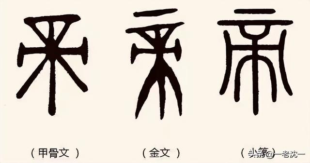 建字五行属什么名字（建字五行属什么属性）
