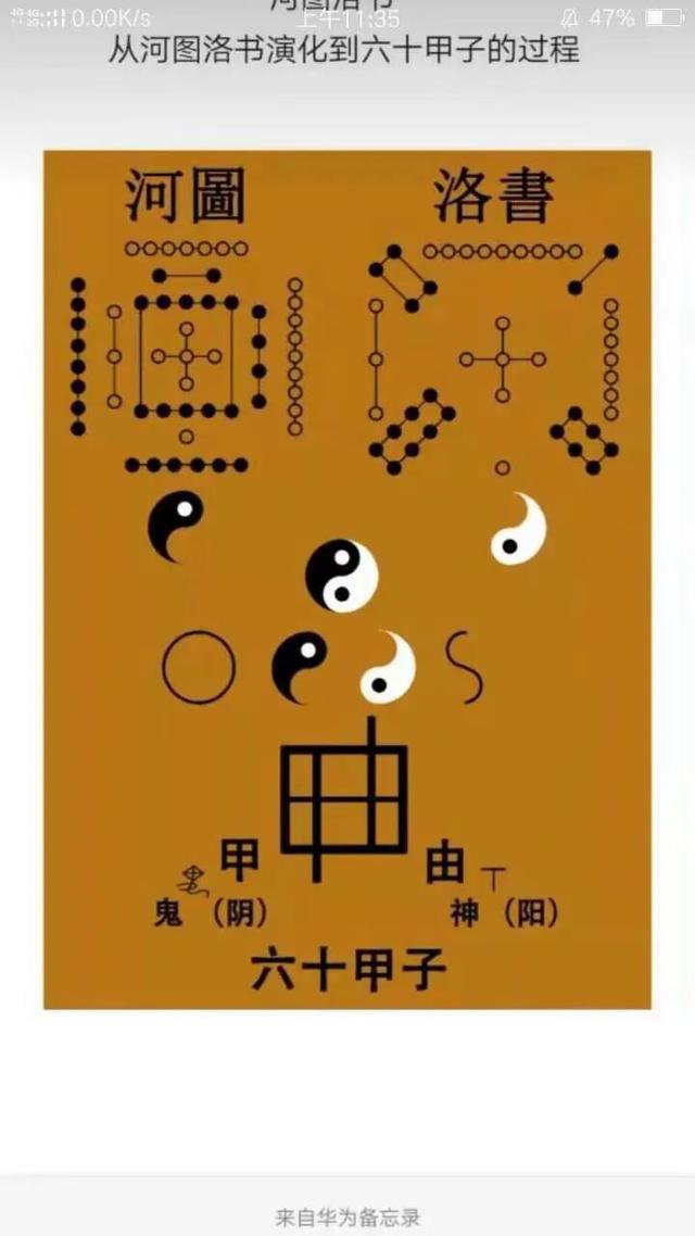 华字取名的寓意是什么意思（华字有什么寓意）