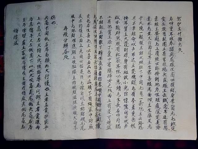 相字五行属什么生肖（相字五行属什么意思）