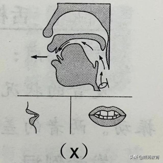拼音j的正确书写格式图片（拼音j的正确书写格式视频）