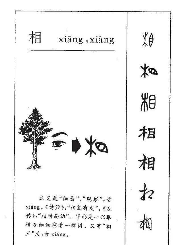 相字五行属什么和意义（相字五行是什么）