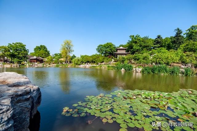 翠荫掩映，花香弥漫——夏日南京愚园的美景！