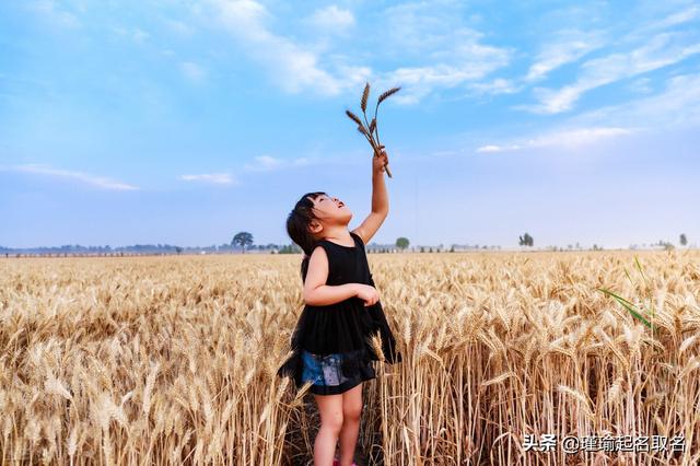 小名大全男孩虎宝宝夏天（小名大全男孩虎宝宝可爱）