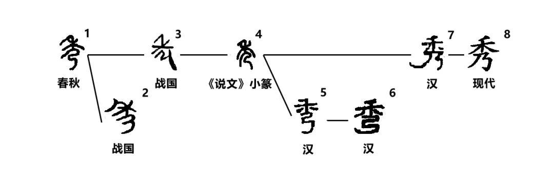 秀字五行属什么名字（秀五行属啥）