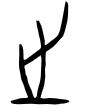 之字取名的寓意和含义（之字的寓意和含义）