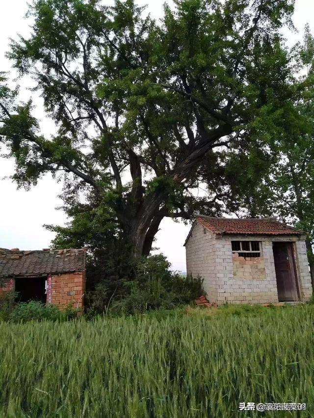 建材公司起名大全免费？建材公司起名大全免费三个字！