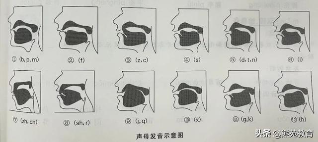 拼音j的正确书写格式图片（拼音j的正确书写格式视频）
