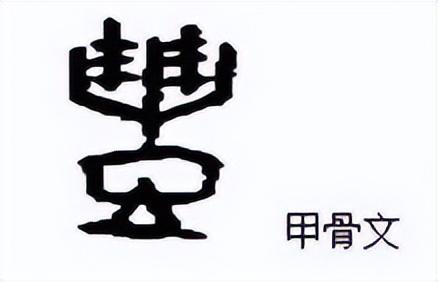 礼字五行属什么？礼字五行属什么属性！