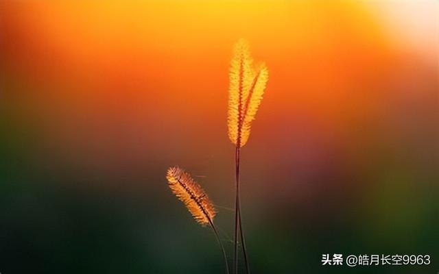 宥字五行属什么？宥字五行属什么属性的！