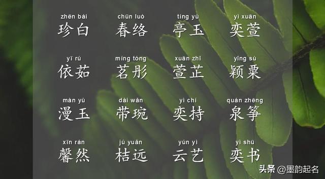 婴儿取名字,2023年女孩漂亮有涵养的名字？