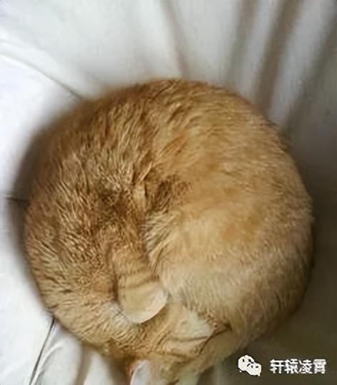 基五行属于？础的五行属性！