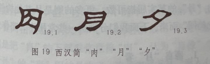 肉字？肉字旁的字！