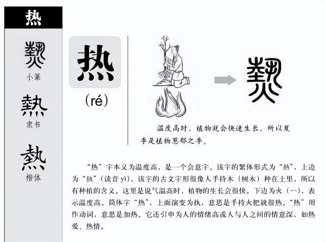 五行属木的字大全及解释（木字的五行属性是什么_）