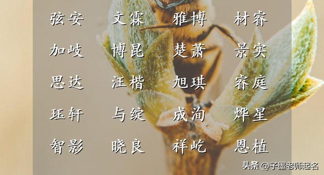 宋姓女孩起名寓意好的，宋姓女孩起名寓意好的四个字