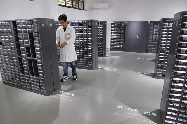 解码文化自信的城市样本｜文越山海瓷韵长——解码“千年瓷都”景德镇的文化自信样本