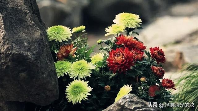 中国诗词35首经典名作，35座巅峰之美，哪首才是你心中的至爱呢？