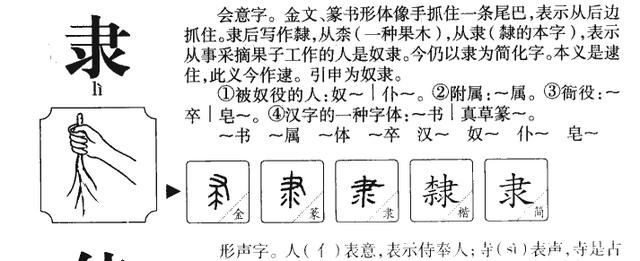 楠字五行属什么属性？南字五行属什么！