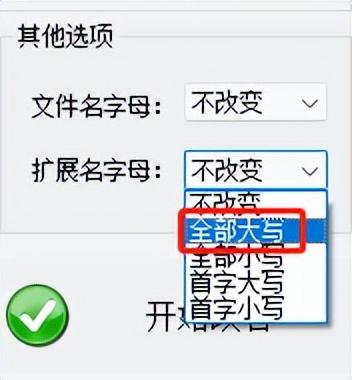 个性化操作轻松完成！如何使用批量重命名自定义文件名和扩展名。