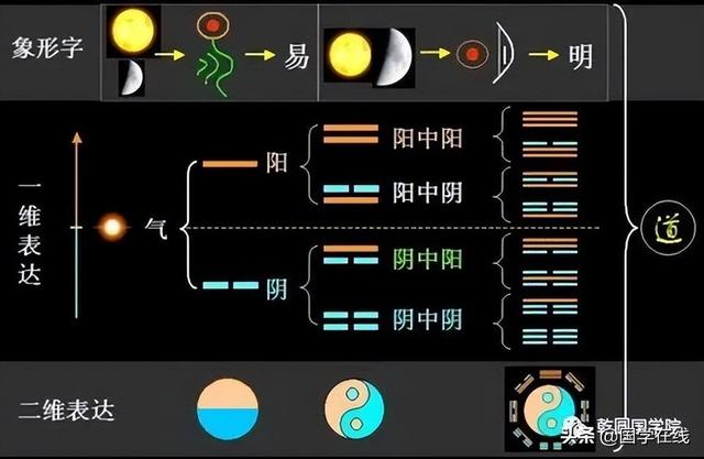 康熙字典阳字五行属什么（扬字五行属什么）