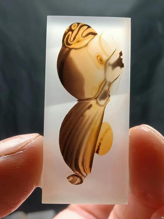 黄金小汪汪 招财进宝很吉祥
