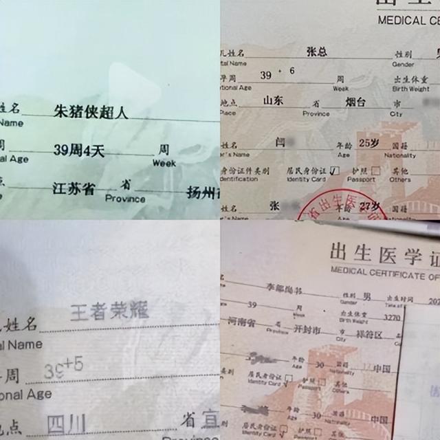 燕字取名的寓意？燕字取名的寓意是什么！