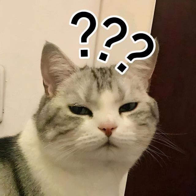 猫咪常见的5个“取名”方法，你家猫猫叫什么名字？