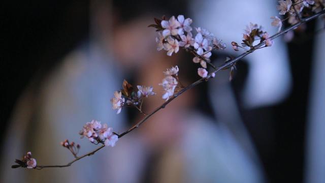 轼的意思和组词和拼音，轼的组词和读音