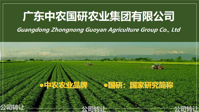 公司起名大气的（公司起名大全好听大气）