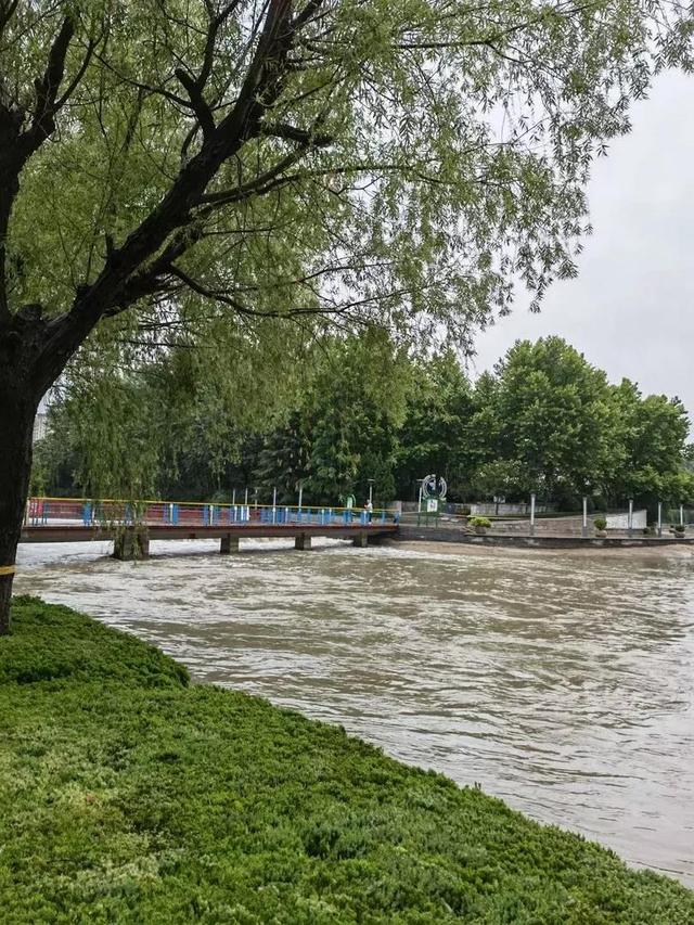 徐字拼音怎么拼写（徐字拼音怎么读）