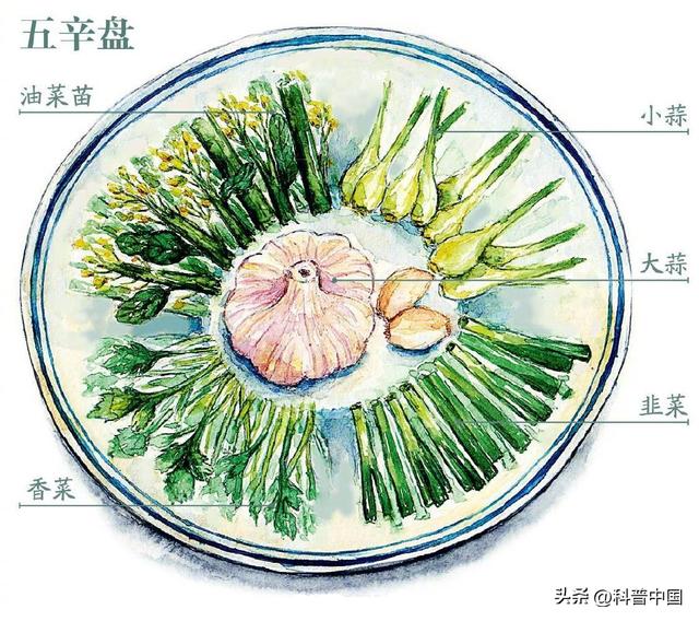 新字五行属什么？新字五行属什么属性！