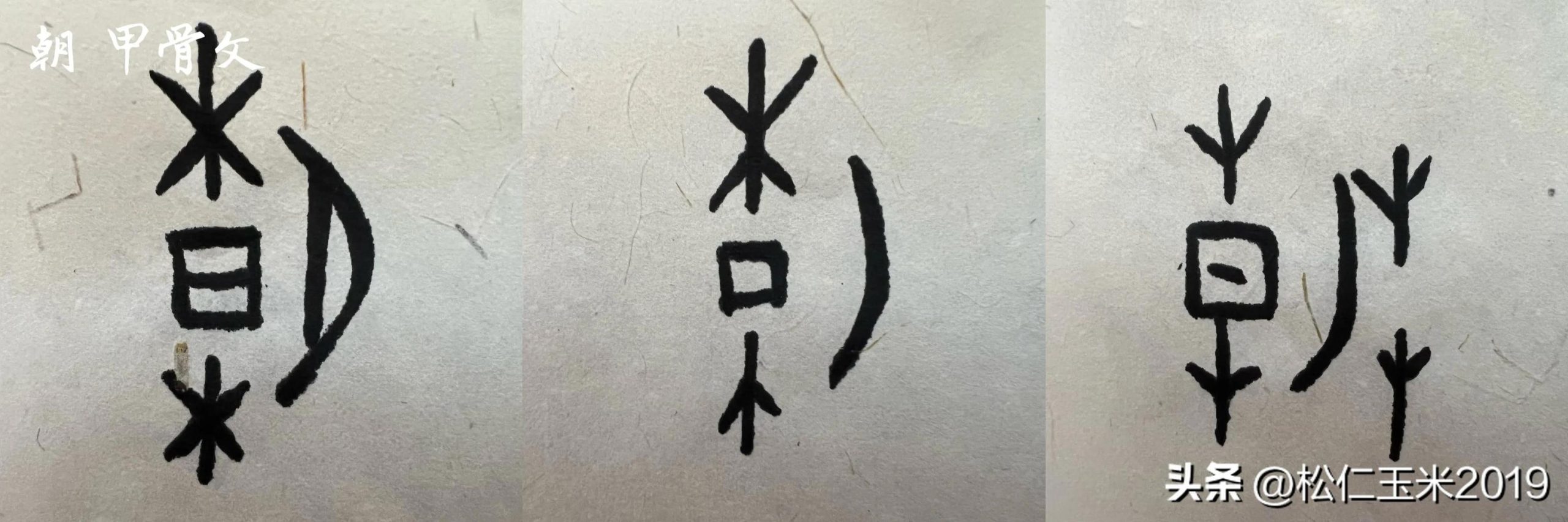 朝字取名寓意？朝和什么字搭配寓意好！