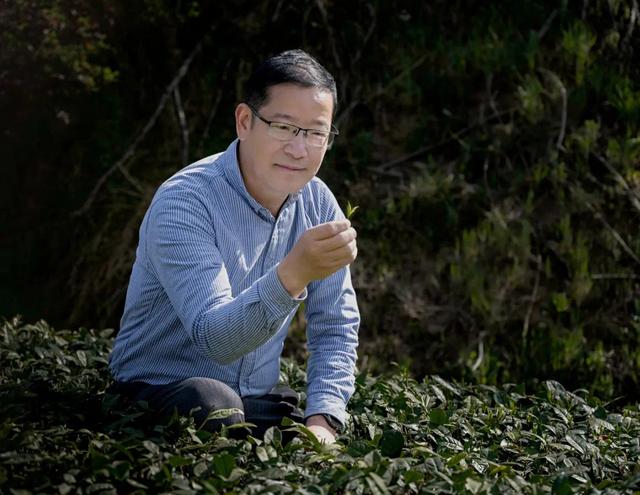 茶叶公司取名字参考大全？茶叶公司取名字参考大全德！