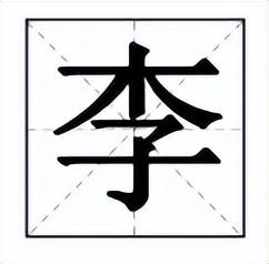 起名字大全男孩姓李嘉，男孩子名字姓李嘉
