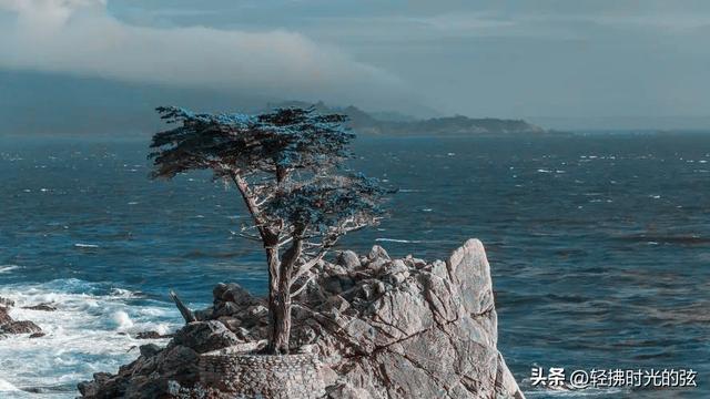 中国诗词35首经典名作，35座巅峰之美，哪首才是你心中的至爱呢？