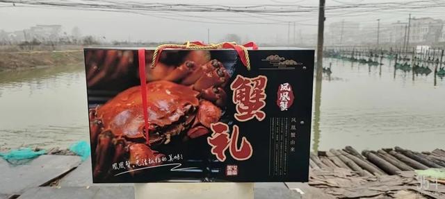 养殖场起名,养殖场起名大全免费养牛怎么起？